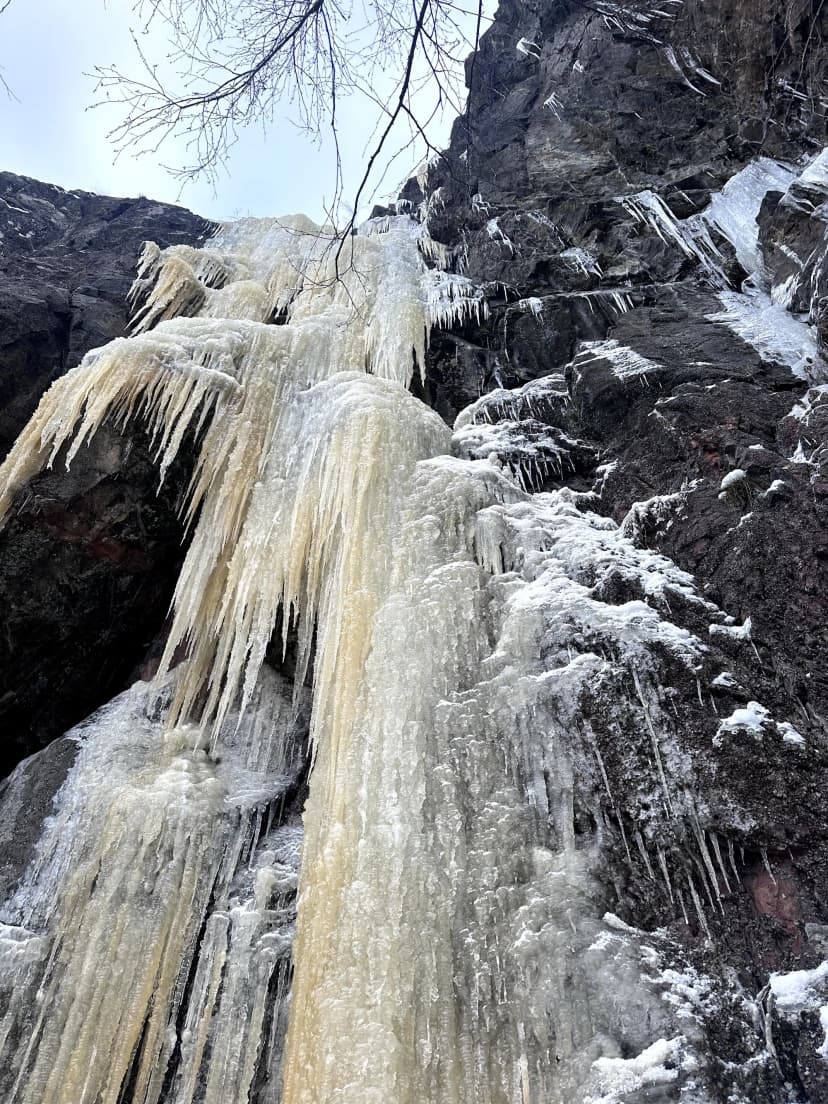 Ett hyfsat år, ledbart!