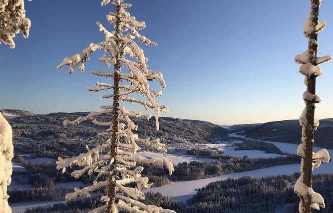 Bakre isarna – Isravinen